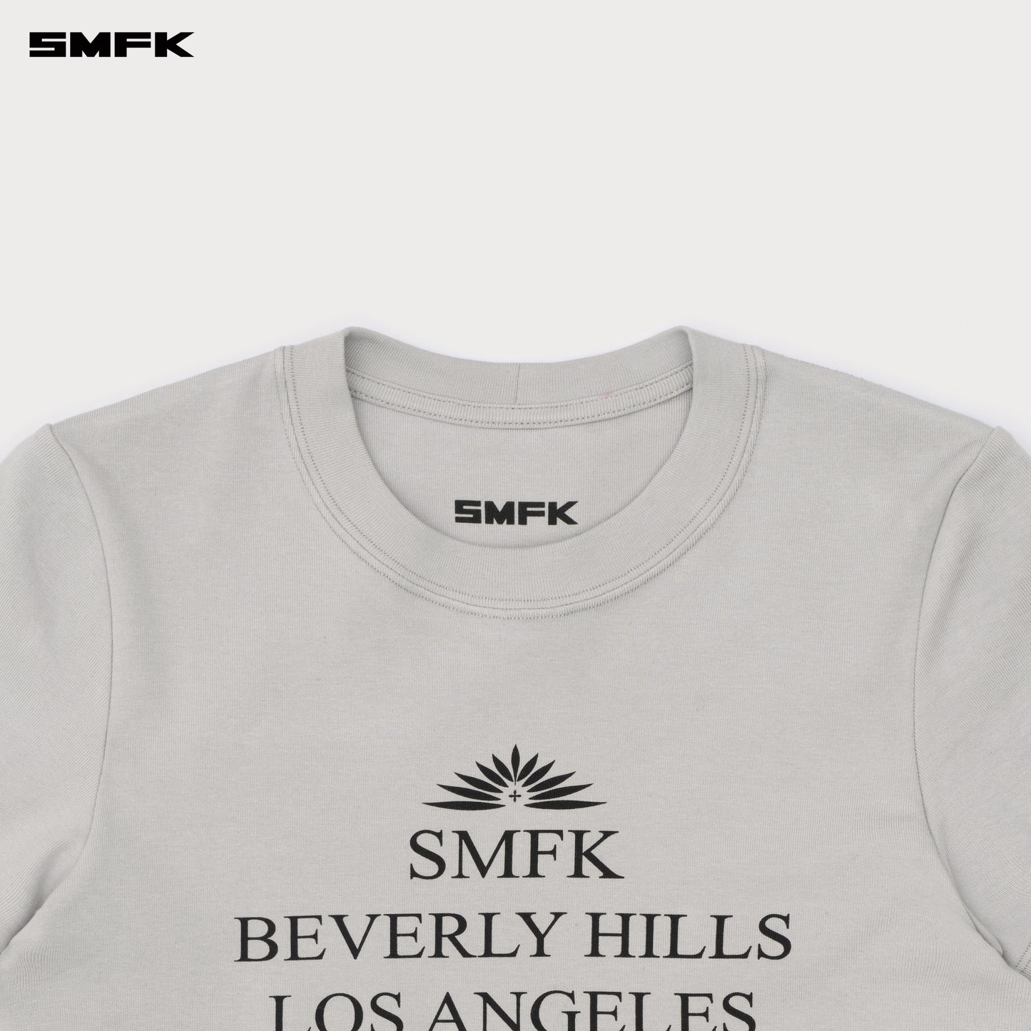 COMPASS Beverly Movie Subtitles Crop Tee Ash Gray