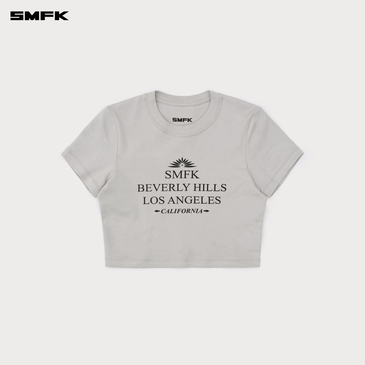 COMPASS Beverly Movie Subtitles Crop Tee Ash Gray